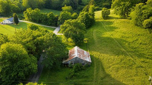 2039 Blackburn Hollow Rd, Cornersville, TN, 37047-7000 | Card Image