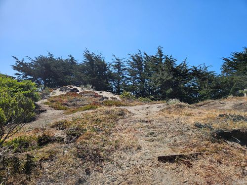 280 Driftwood Ave, Bodega Bay, CA, 94923-9722 | Card Image