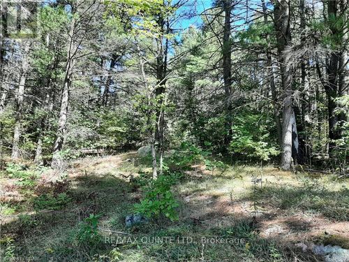 0 Pt Lt12 Con14 Hwy 37 Road, Tweed (Hungerford (Twp)), ON, K0K3J0 | Card Image