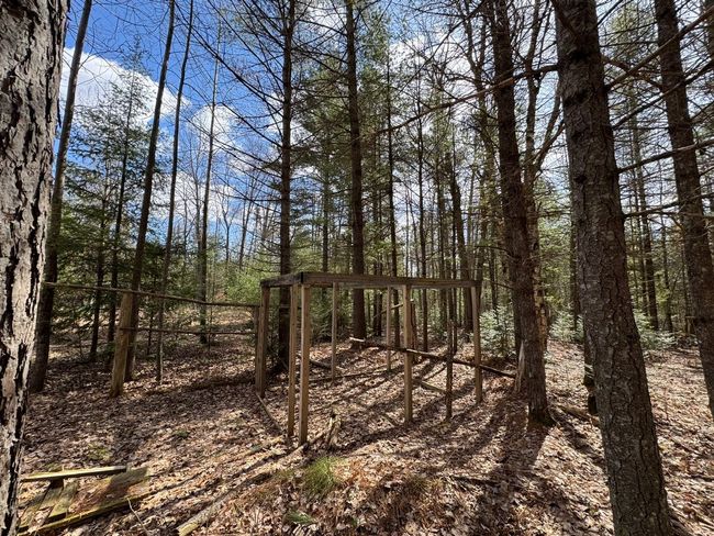4233 Hardacre Trl, Home with 0 bedrooms, 0 bathrooms and null parking in Houghton Lake MI | Image 10