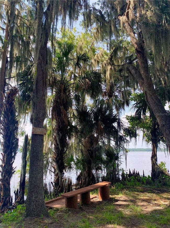 24645 Ne 177 Th Ter, House other with 2 bedrooms, 1 bathrooms and null parking in Fort Mc Coy FL | Image 78
