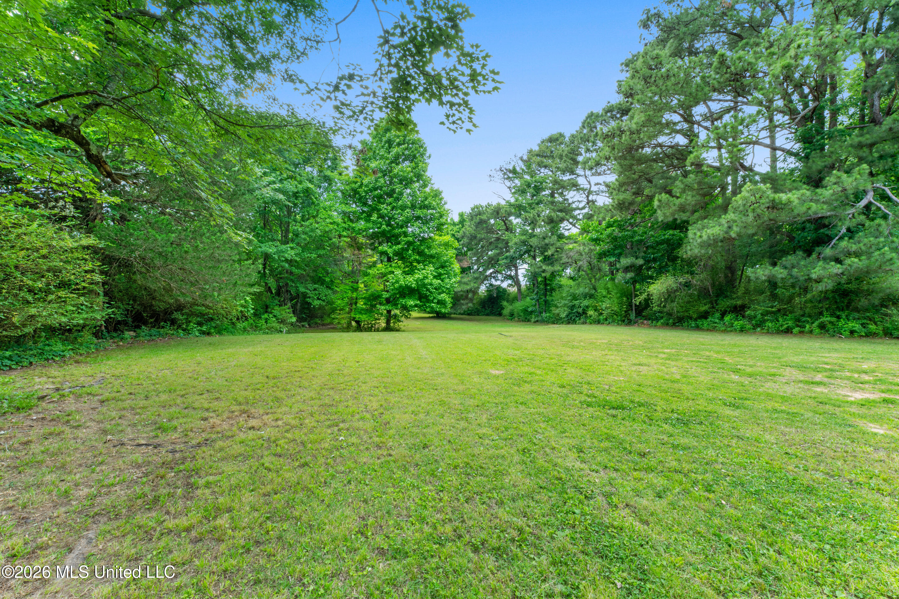 Land in Olive Branch 4