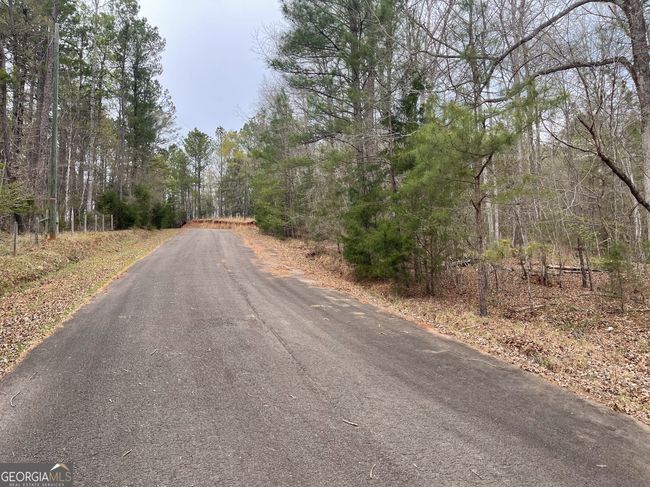 0 Green Oak Cir, Home with 0 bedrooms, 0 bathrooms and null parking in Thomaston GA | Image 30