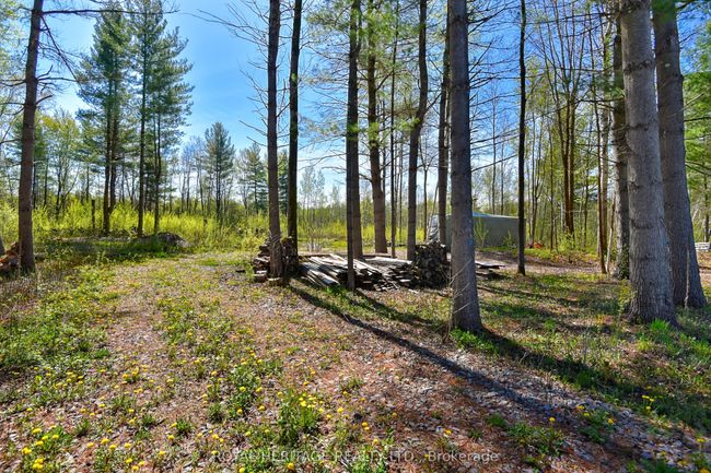 2449 Rooney Rd, Home with 0 bedrooms, 0 bathrooms and null parking in Johnstown ON | Image 6