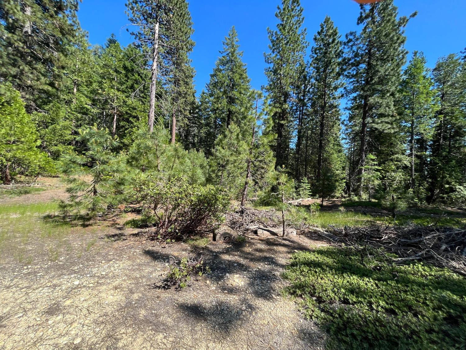 Land in Strawberry Valley 2