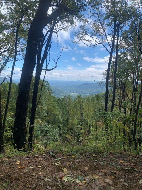 0 Slings Gap Rd, Bent Mountain, VA, 24059 | Card Image