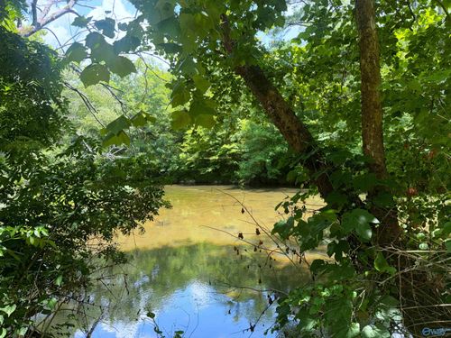 Lot 34 County Road 336, Piedmont, AL, 36272 | Card Image