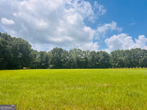 0 Fouche Rd, Buena Vista, GA, 31803 | Card Image