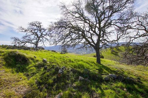 20041 Panoche Rd, Paicines, CA, 95043 | Card Image