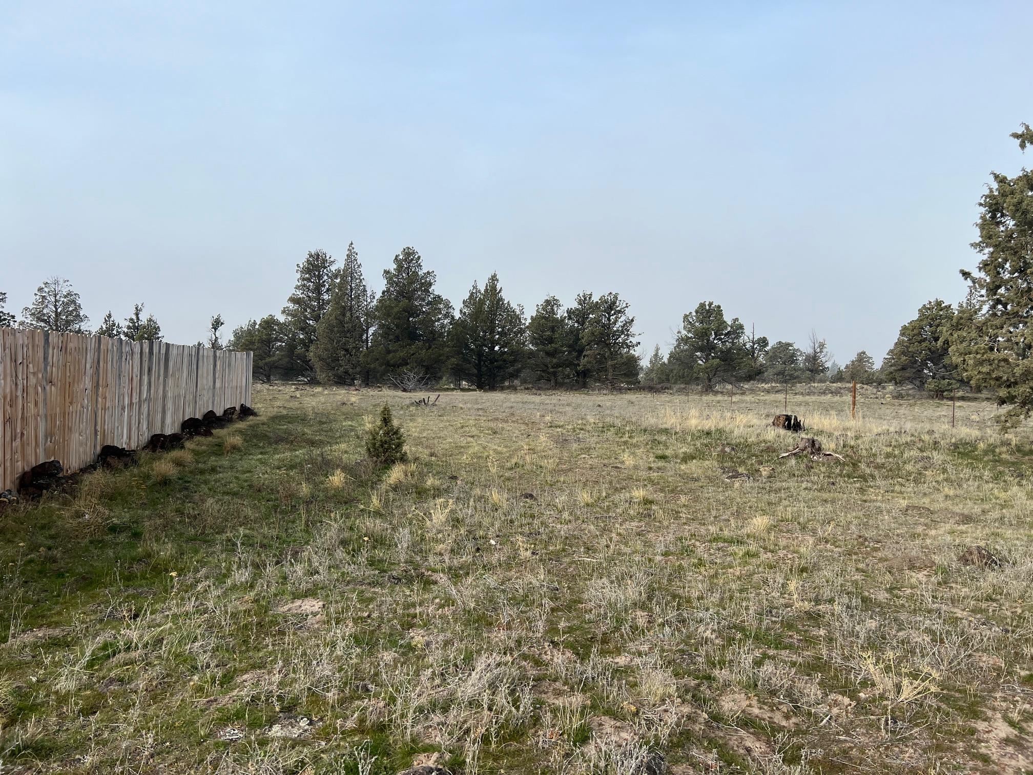 Land in Montague 4