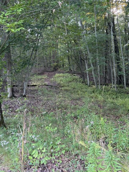 00 S Kendall Ave, Bradford, PA, 16701 | Card Image