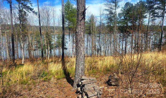 169 - 4083 Grays Peak Summit Summit, Home with 0 bedrooms, 0 bathrooms and null parking in Connelly Springs NC | Image 9