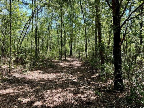 0 Ga Highway 135 S, Naylor, GA, 31641 | Card Image