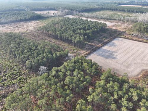 TBD Highway 9, Marion, SC, 29571 | Card Image