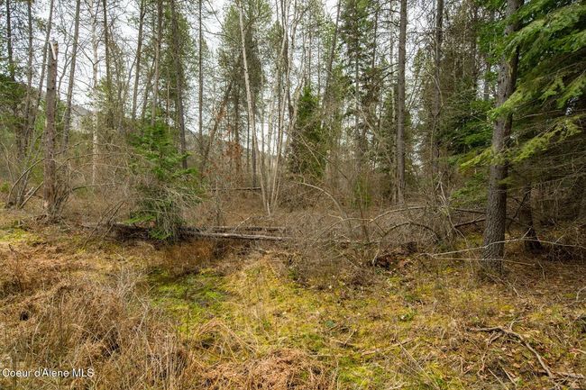 1813 Joyner Dr E, Home with 0 bedrooms, 0 bathrooms and null parking in Cusick WA | Image 41
