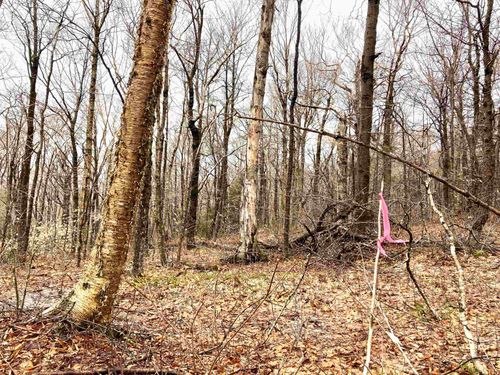 402 Fox Mountain Rd, Wilmington, VT, 05363 | Card Image