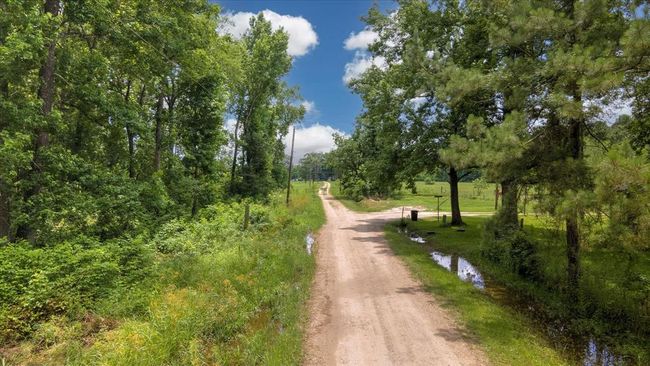 00 Lloyd Fregia Road, Home with 0 bedrooms, 0 bathrooms and null parking in Batson TX | Image 4