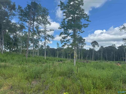 6 ACRES County Road 794, Gaylesville, AL, 35973 | Card Image