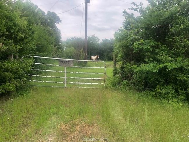 View of gate | Image 11