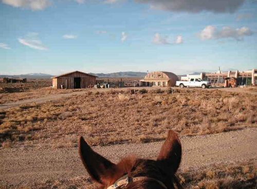 241 Tune Drive, El Prado, NM, 87529 | Card Image