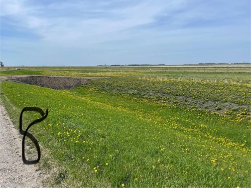 Lot 8 County Line Addition, Grandin, ND, 58038 | Card Image