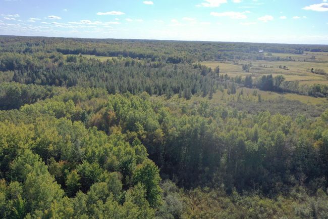 DJI_0463.JPG | Image 28