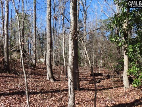 0 Rion Road, Winnsboro, SC, 29180 | Card Image