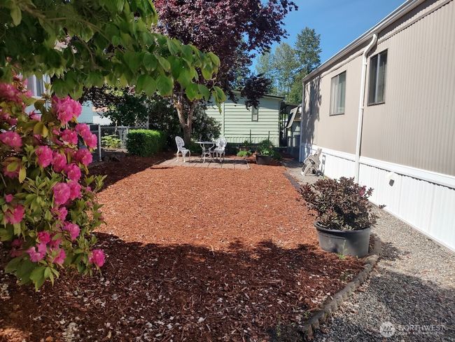 Lovely mature cottage garden | Image 4