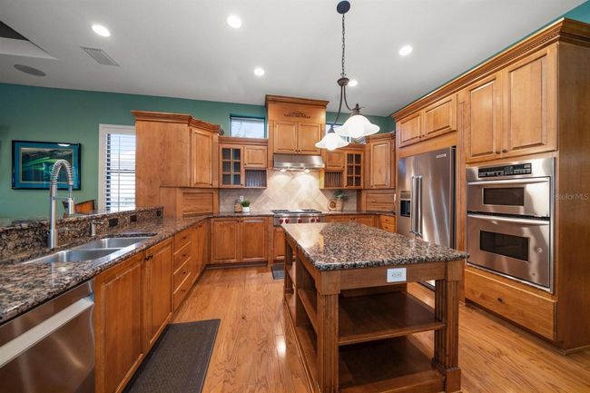 667 Richmond Close, House other with 5 bedrooms, 7 bathrooms and null parking in TARPON SPRINGS FL | Image 28