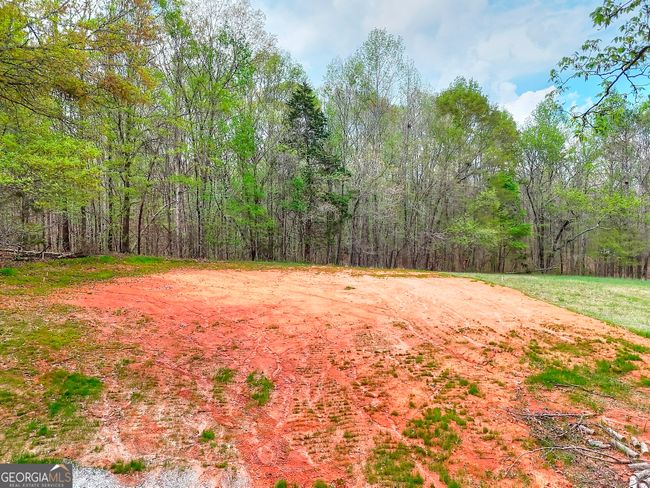 0 Falcon Ln, Home with 0 bedrooms, 0 bathrooms and null parking in Carnesville GA | Image 6