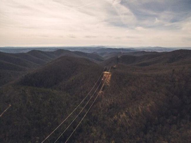 74205_7 | Image 8