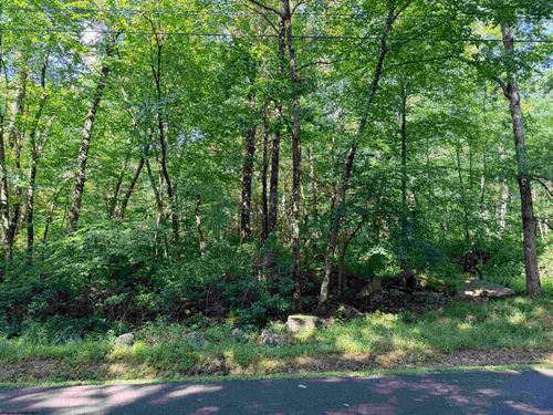 Lot 123 Redwood Dr, Terra Alta, WV, 26764 | Card Image