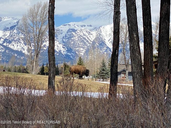 13 - 5870 Mtn Mahogany Ln, House other with 3 bedrooms, 3 bathrooms and null parking in Jackson WY | Image 39