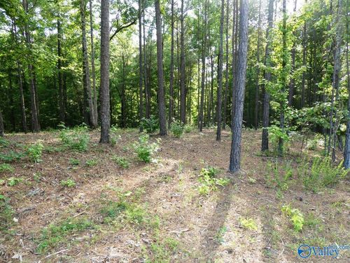 Lot 74 Harbor Lights Trail, Jasper, AL, 35504 | Card Image