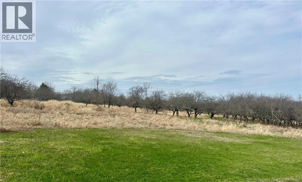 Land in Keswick Ridge 4