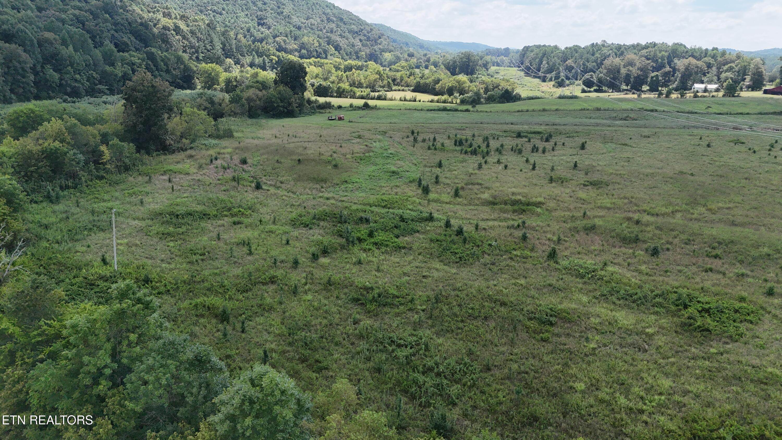 Land in Riceville 4