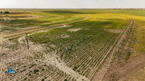 Quail Road Elk Road, Smyer, TX, 79367 | Card Image