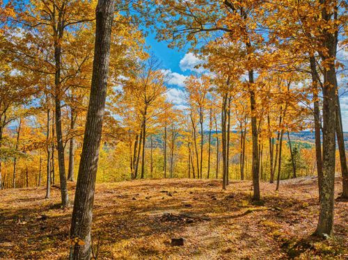 0 Beech Hill Rd, Andover, NH, 03216 | Card Image