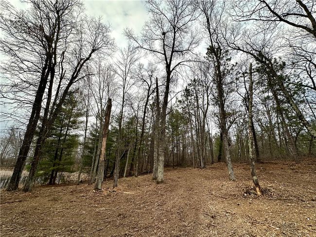 16 295th Street, Home with 0 bedrooms, 0 bathrooms and null parking in Holcombe WI | Image 44