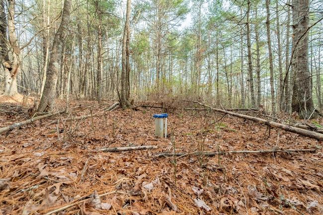 000 Miriam Road, Home with 0 bedrooms, 0 bathrooms and null parking in Dugspur VA | Image 23