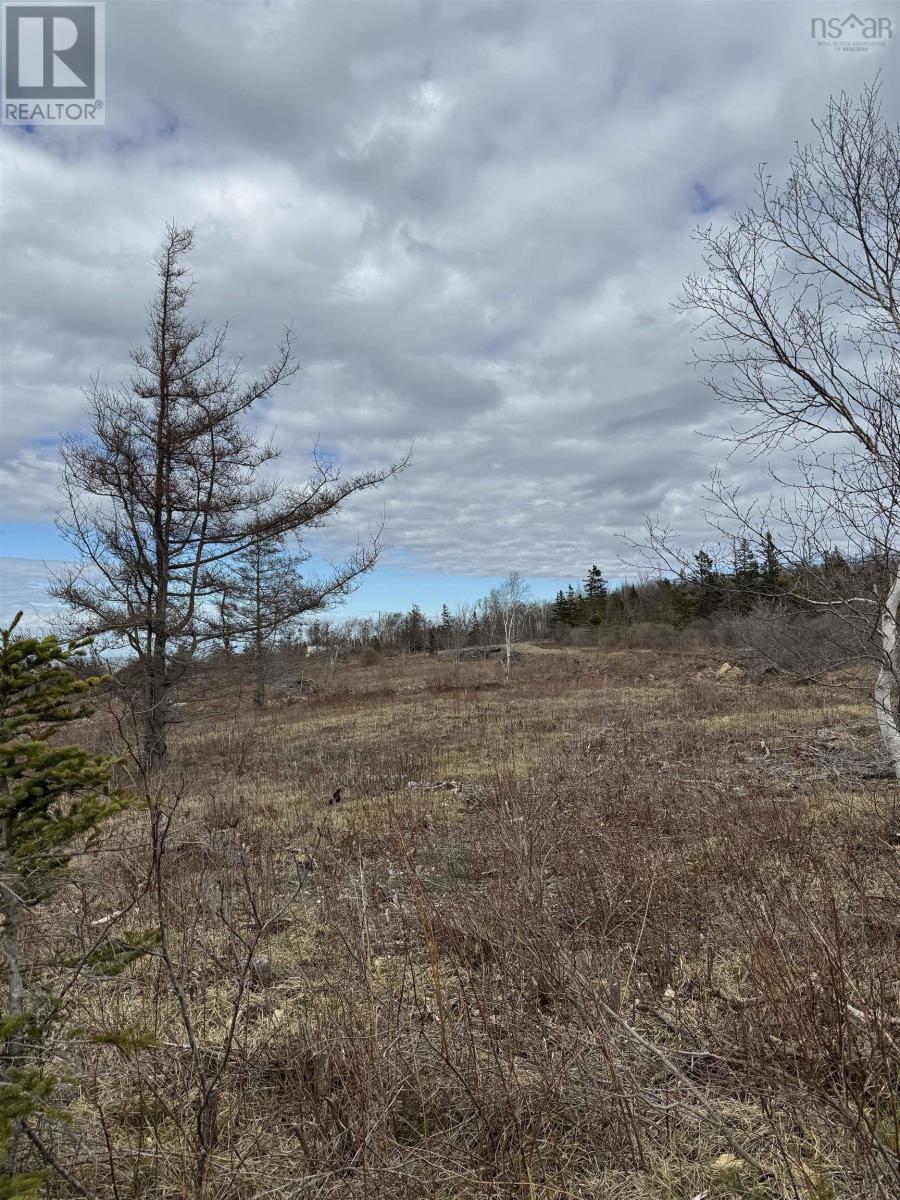 Land in Phinneys Cove 3