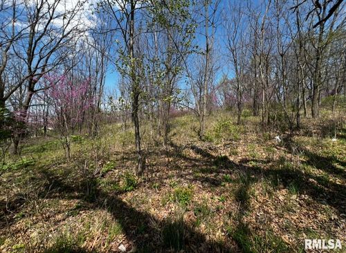 LOT 201 James St, Port Byron, IL, 61275-7702 | Card Image