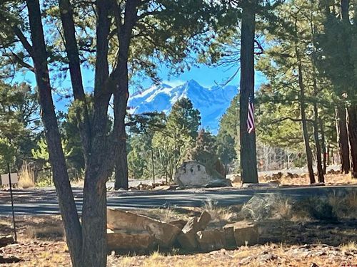 TBD Bear Cub Dr, Ridgway, CO, 81432 | Card Image