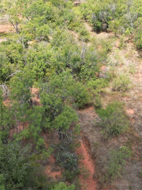 TBD 10.8 Fm 1086, Winters, TX, 79567 | Card Image