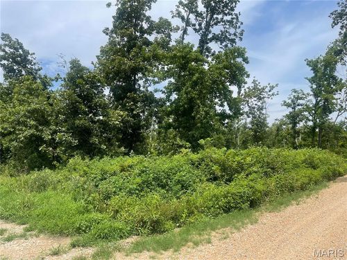 000 County Road 315, Poplar Bluff, MO, 63901 | Card Image