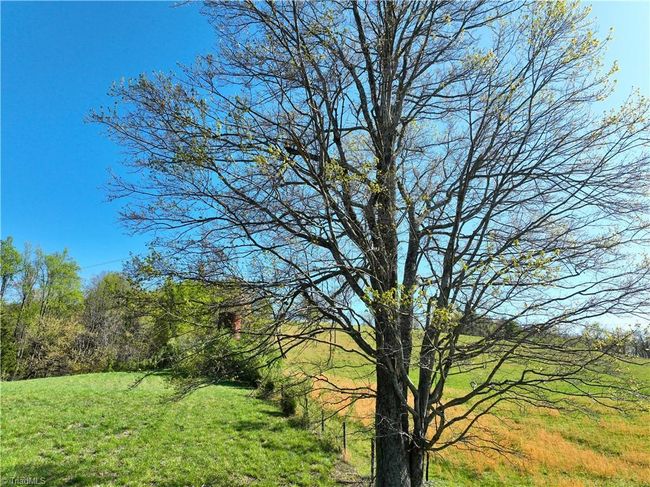 728 Indian Trl, Home with 0 bedrooms, 0 bathrooms and null parking in Henry VA | Image 15