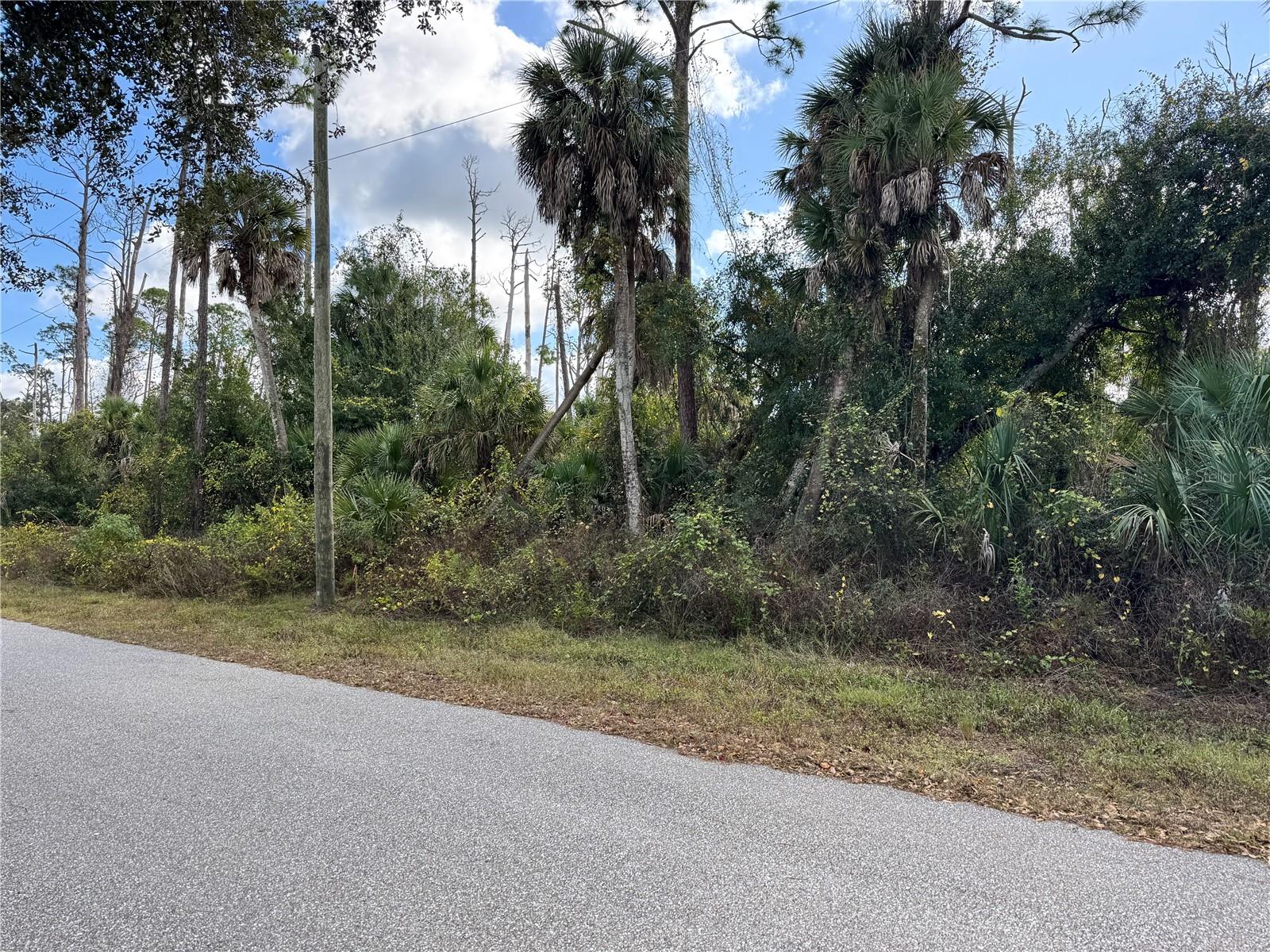 Land in PORT CHARLOTTE 5