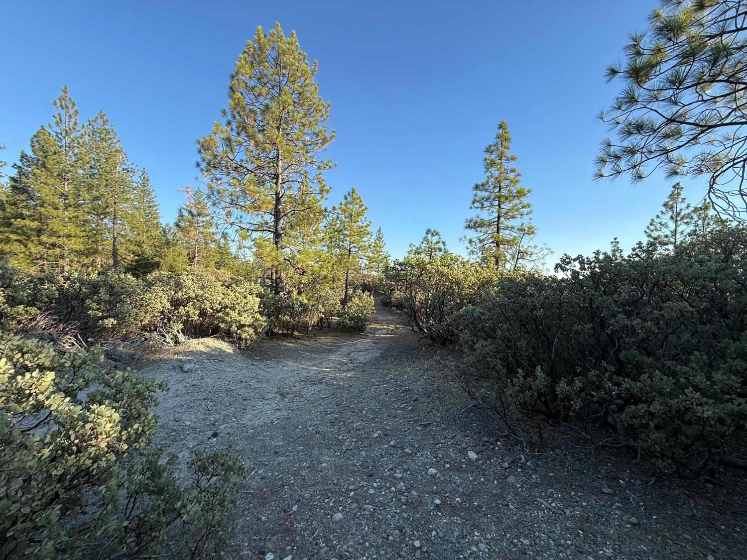 Land in Grass Valley 3