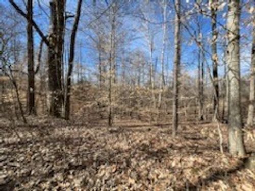 0 Old Tobaccoport Rd, Bumpus Mills, TN, 37028 | Card Image