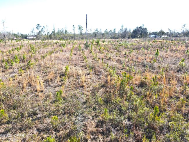 0 John F Bailey Rd, Home with 0 bedrooms, 0 bathrooms and null parking in Blountstown FL | Image 14